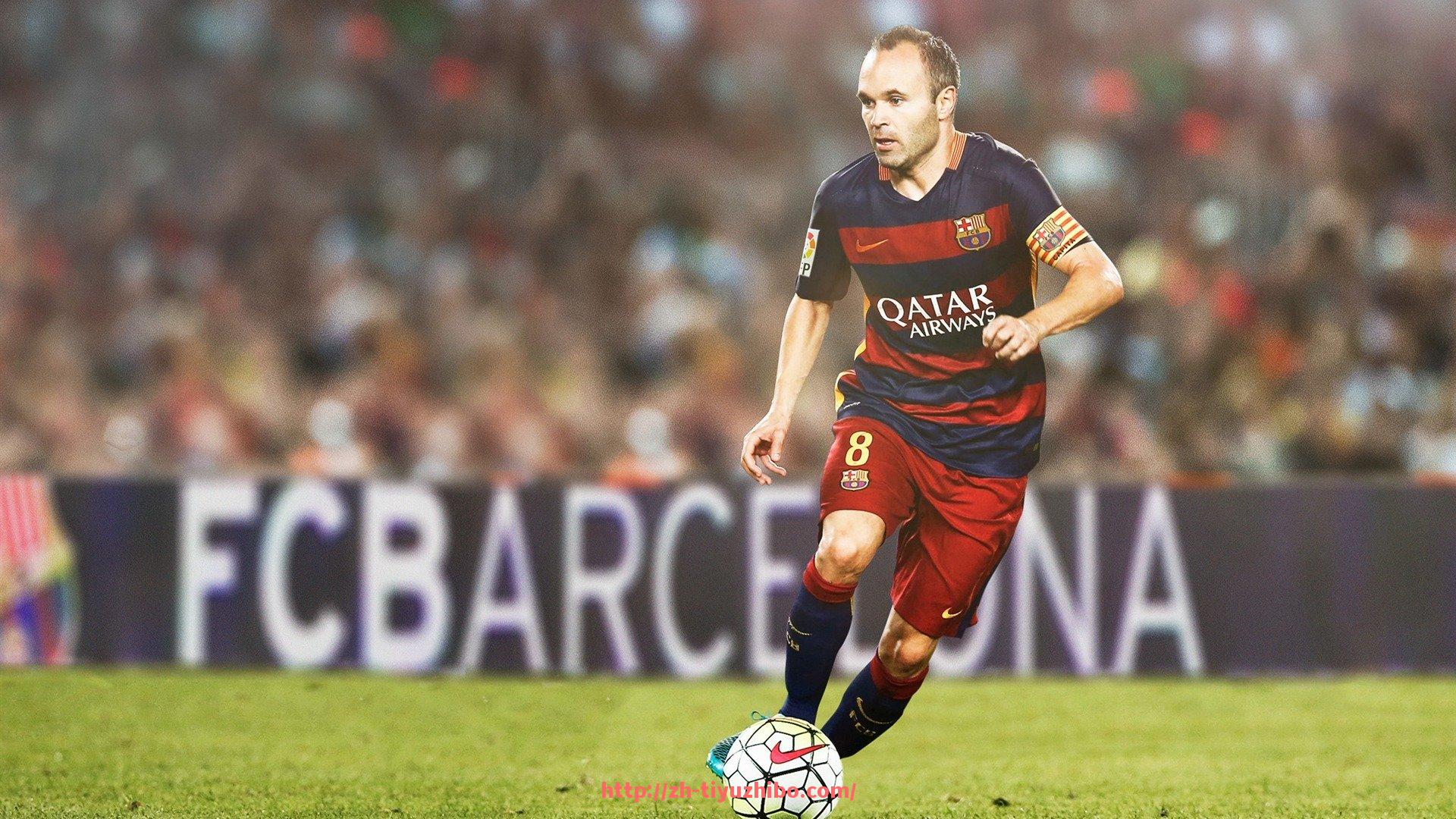 体育直播-健身器材厂家与器械分类详解,如何选择高性价比产品