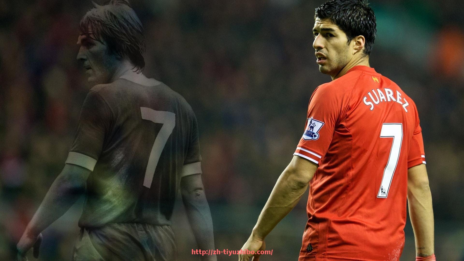 体育直播-健身器材厂家与器械分类详解,如何选择高性价比产品